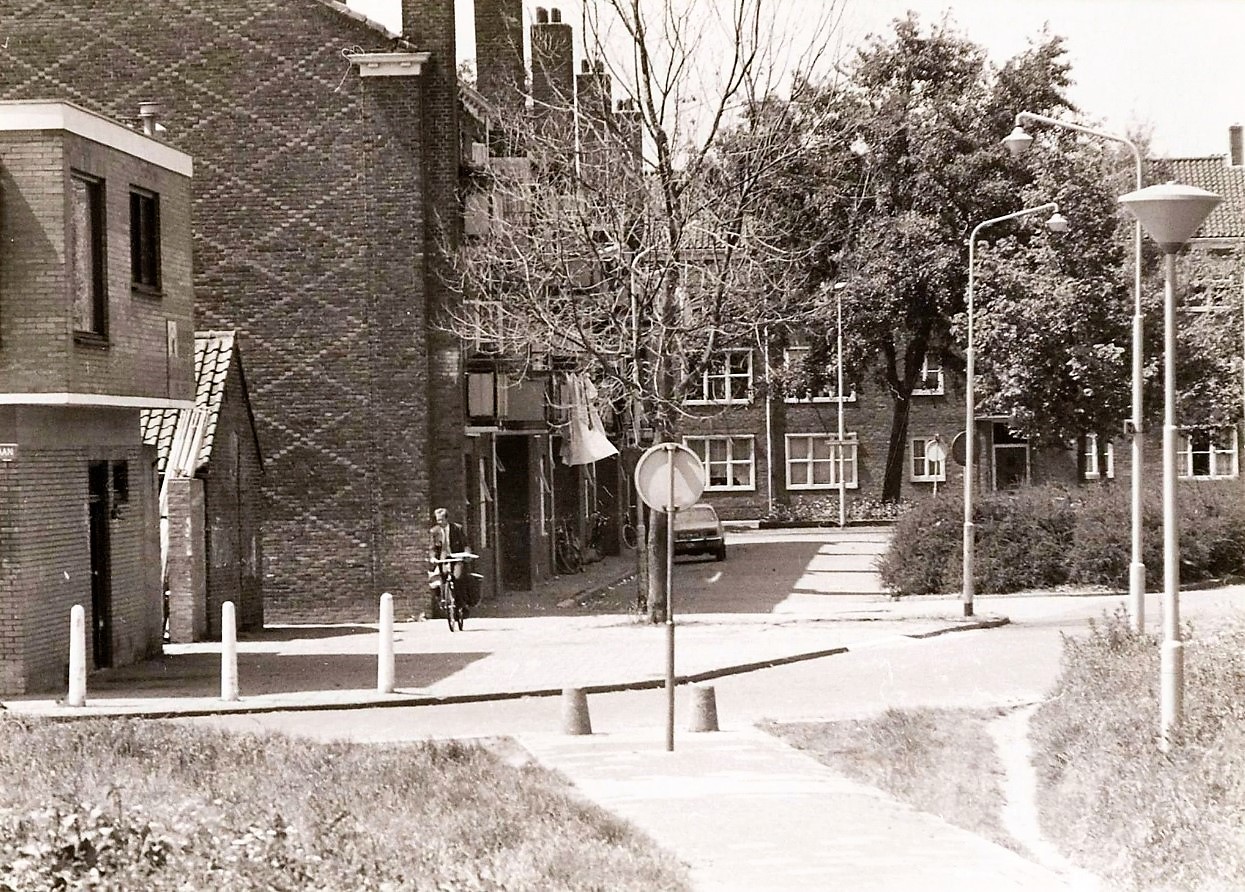 hoge huizen Hendrik Mandeweg